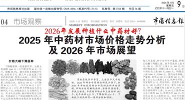 ��ҩ������ר�汨��