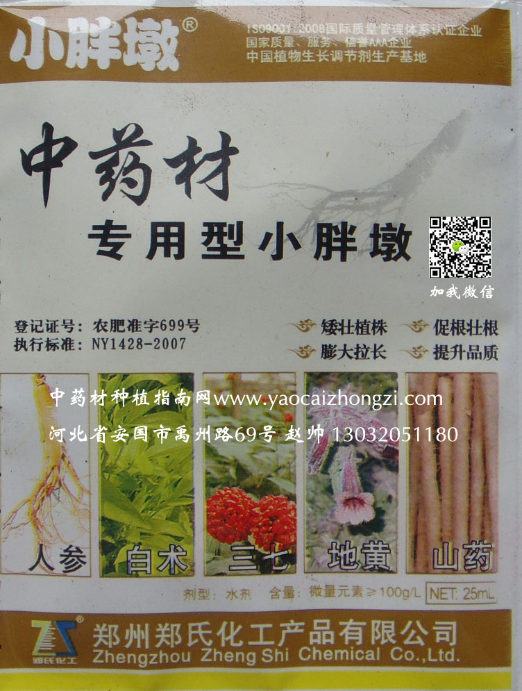 中药材小胖墩